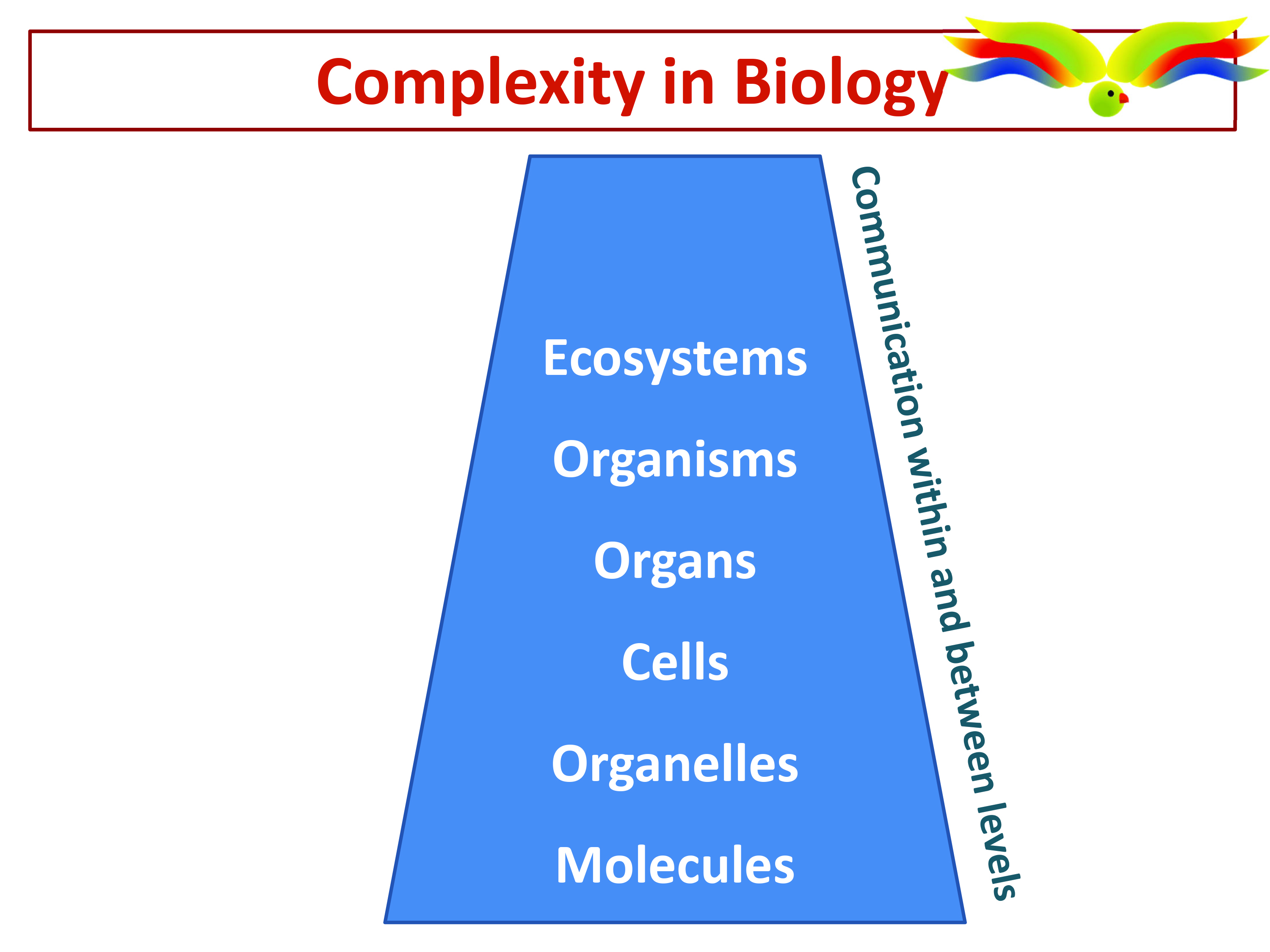 Introduction to Systems Biology - Training School A